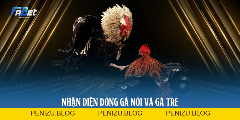 Đá Gà Fabet - Quy Luật Cược Và Nhận Diện Chiến Kê 2026
